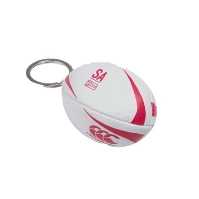 THE BRITISH & IRISH LIONS OFFICIAL LICENSED PRODUCT KEYRING NEW 
